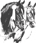 Société de Cavalerie de La Chaux-de-Fonds