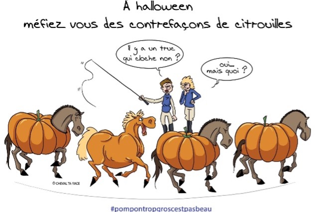 Dressage citrouille